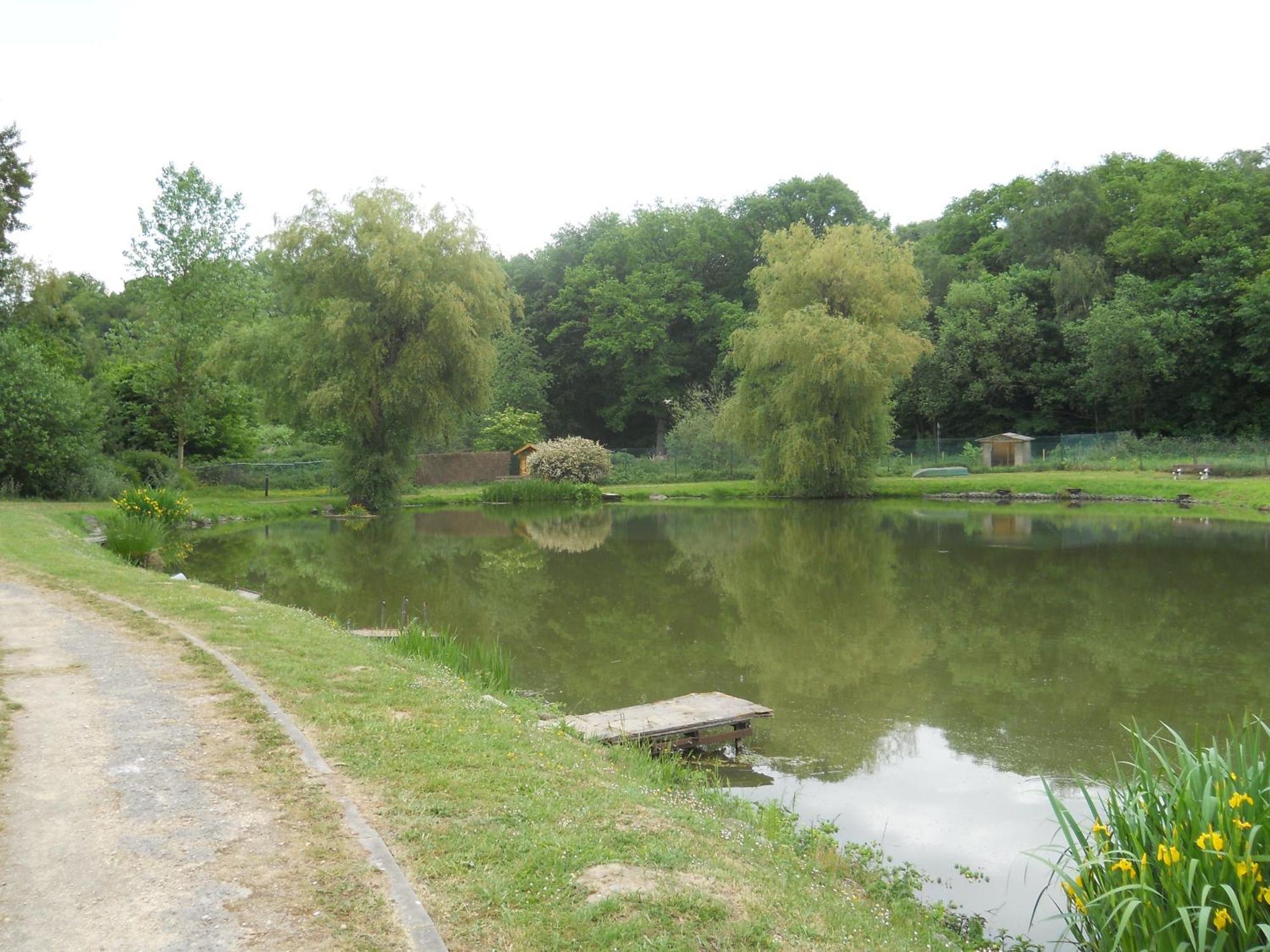 Le Relais De La Haute Sambre Lobbes ภายนอก รูปภาพ